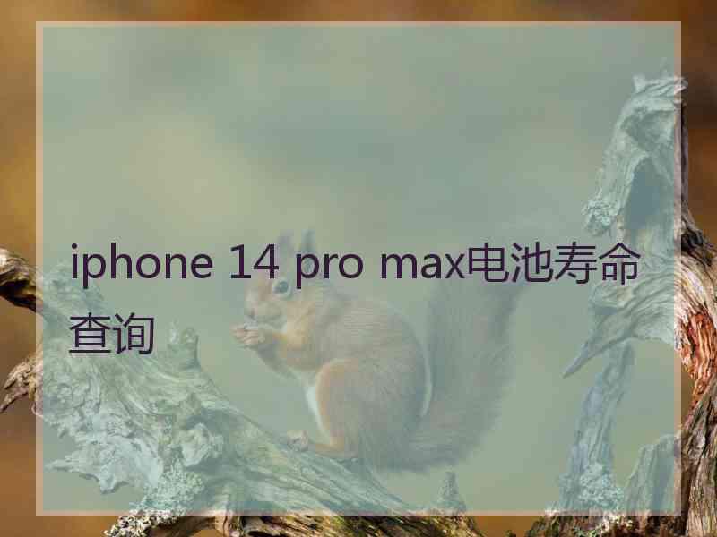 iphone 14 pro max电池寿命查询