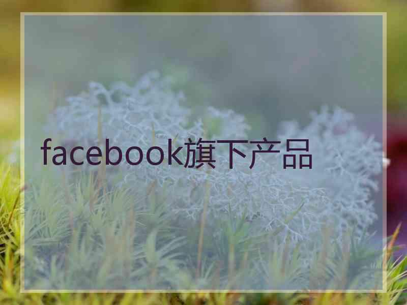 facebook旗下产品