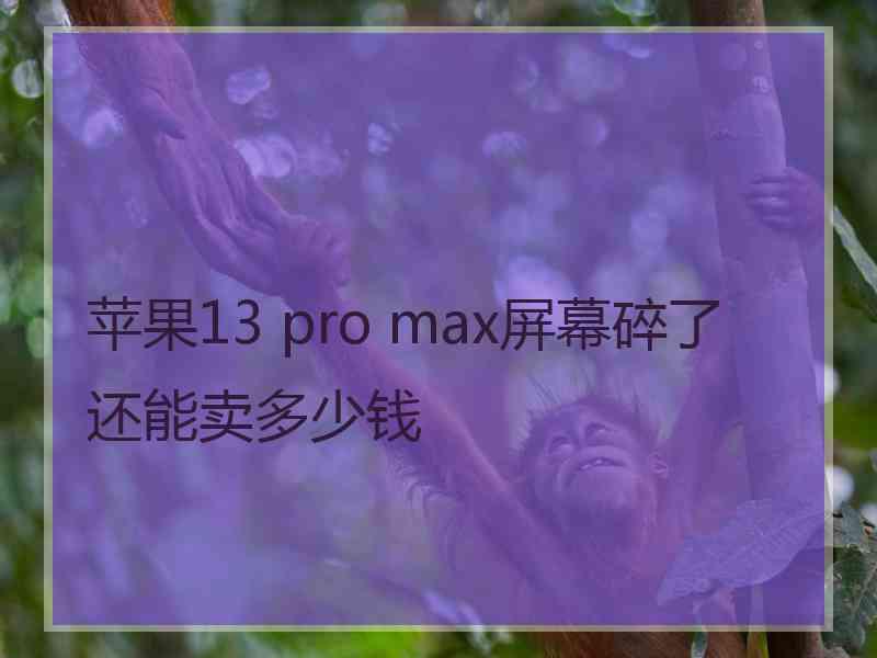 苹果13 pro max屏幕碎了还能卖多少钱