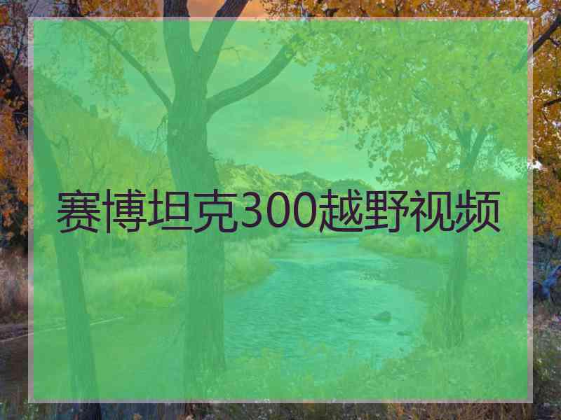 赛博坦克300越野视频