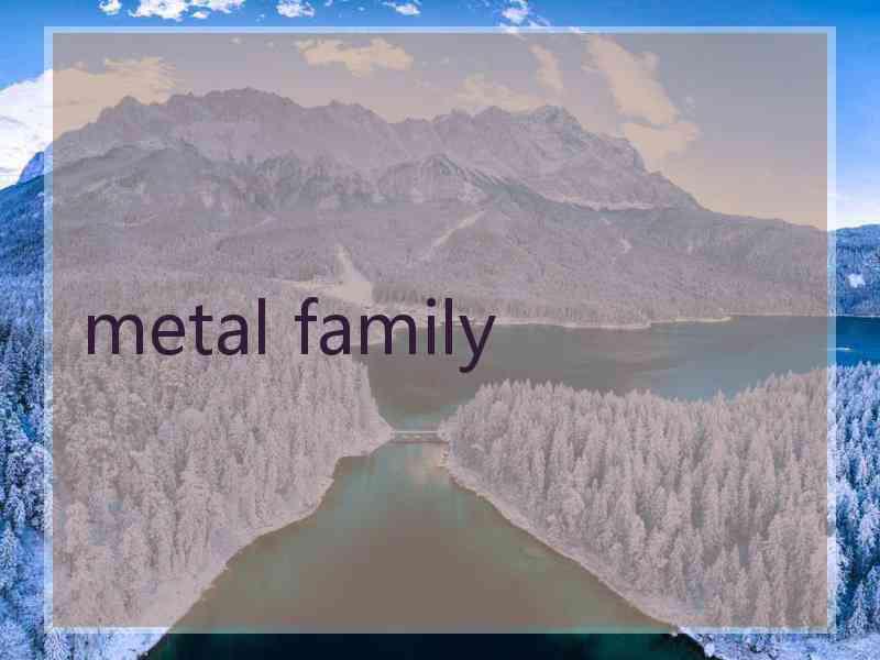 metal family