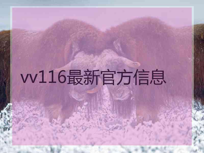 vv116最新官方信息