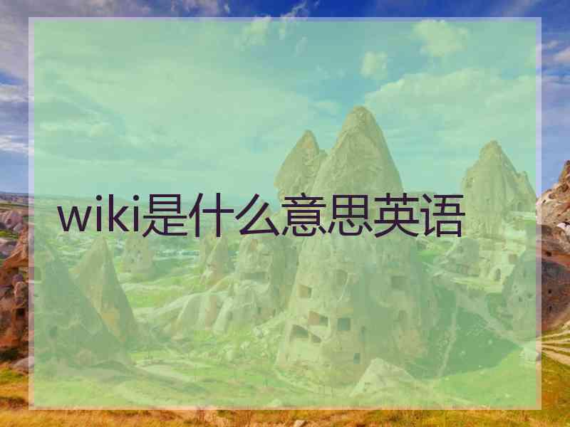 wiki是什么意思英语