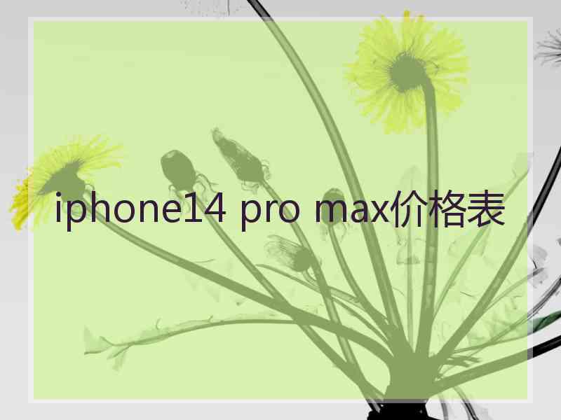 iphone14 pro max价格表