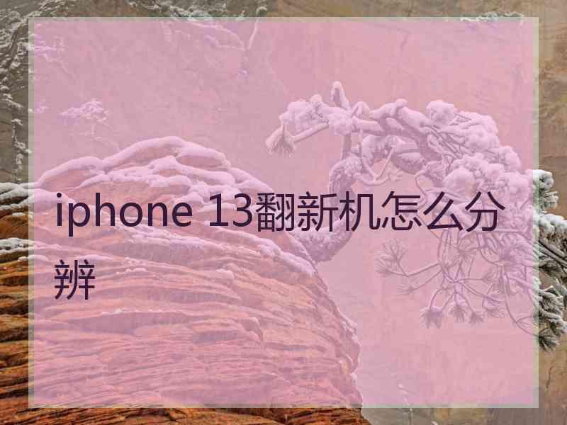 iphone 13翻新机怎么分辨