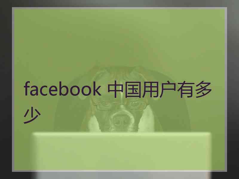 facebook 中国用户有多少