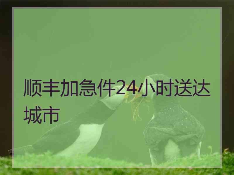 顺丰加急件24小时送达城市