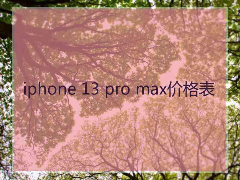 iphone 13 pro max价格表