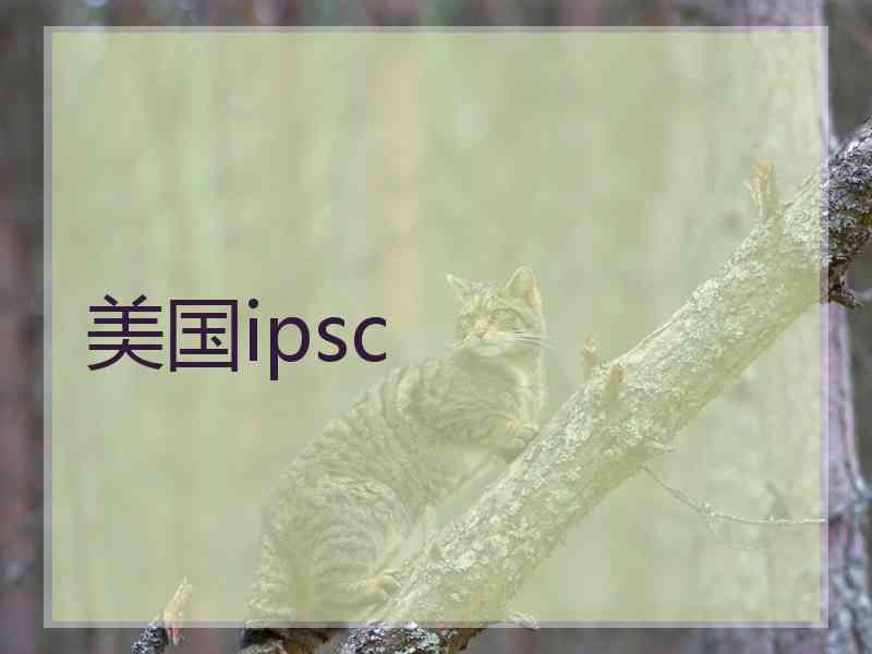 美国ipsc