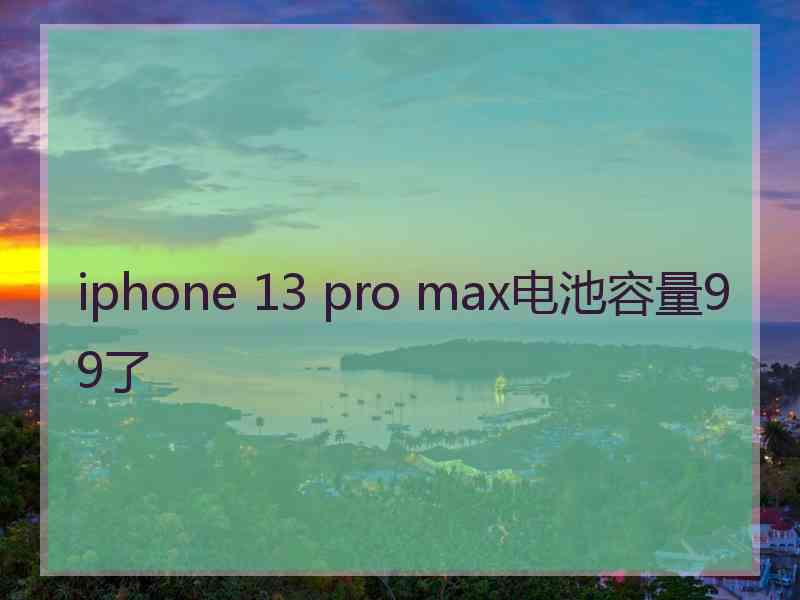 iphone 13 pro max电池容量99了