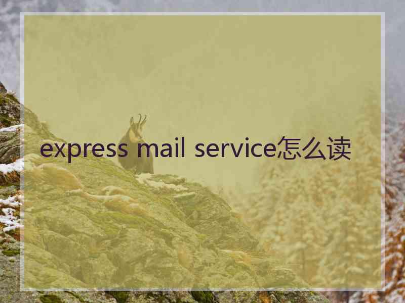 express mail service怎么读