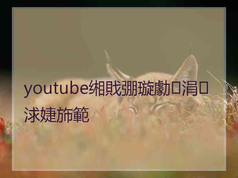 youtube缃戝弸璇勮涓浗婕斾範