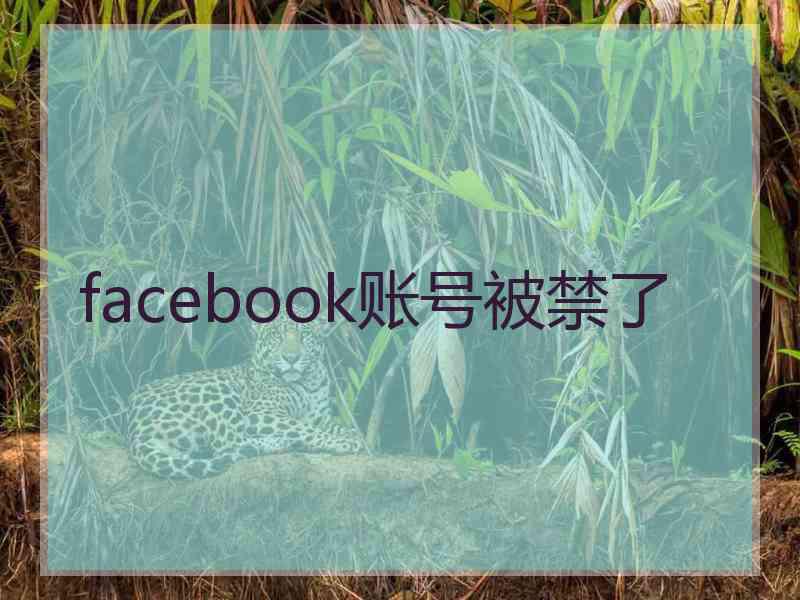 facebook账号被禁了