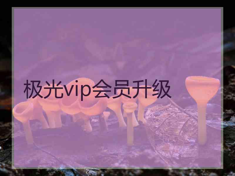 极光vip会员升级