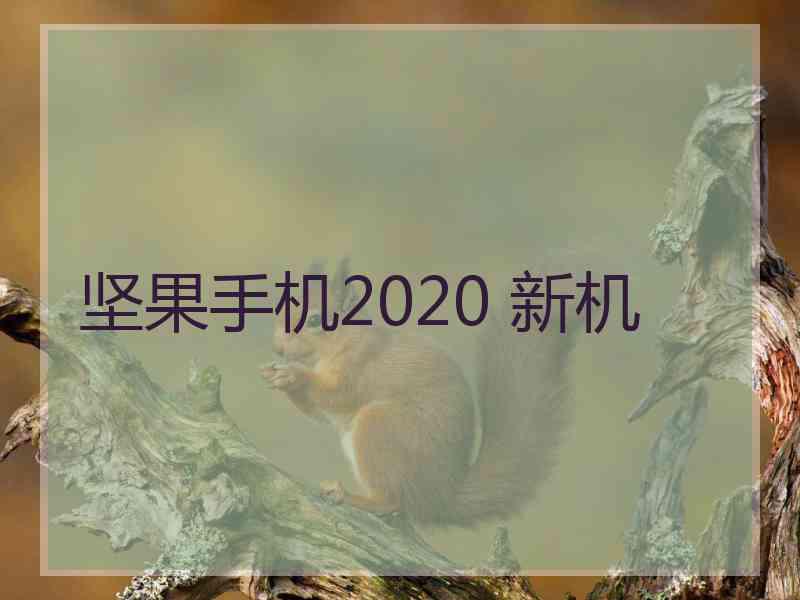 坚果手机2020 新机