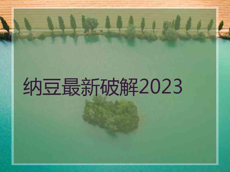 纳豆最新破解2023