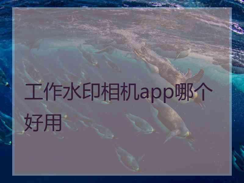 工作水印相机app哪个好用