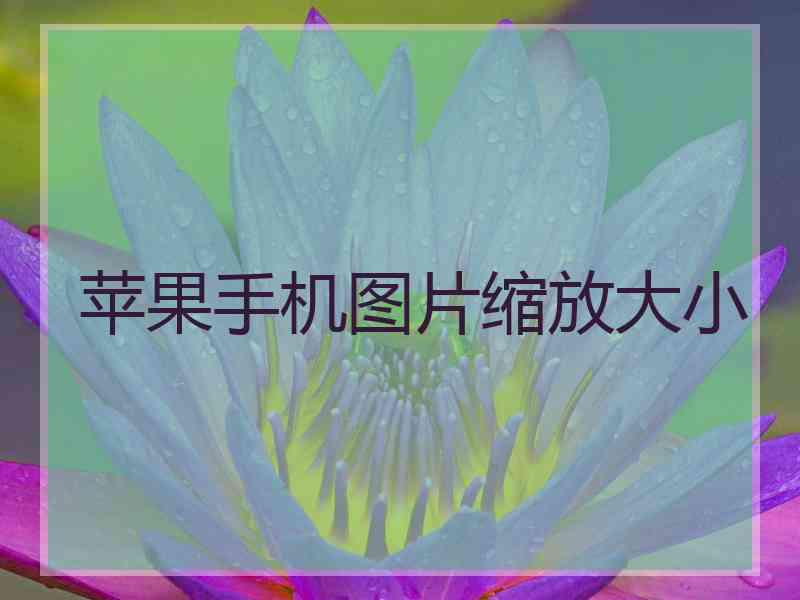 苹果手机图片缩放大小