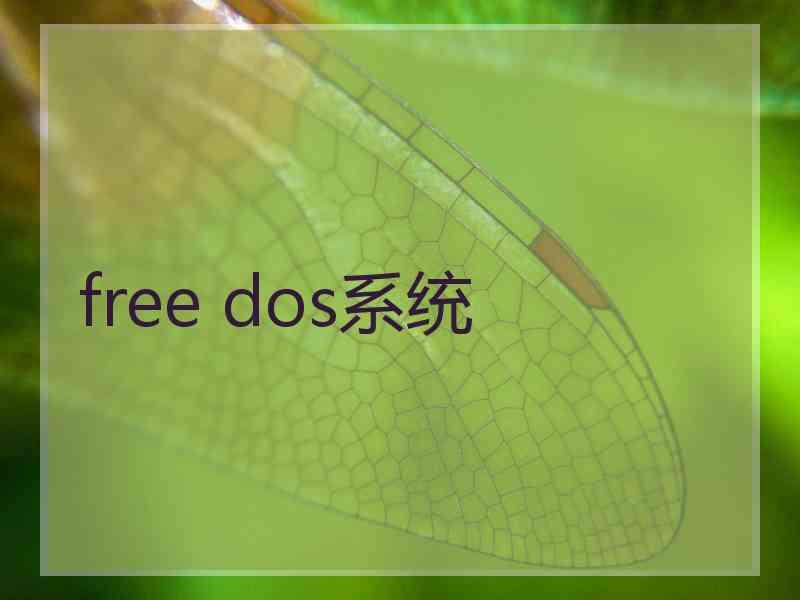 free dos系统