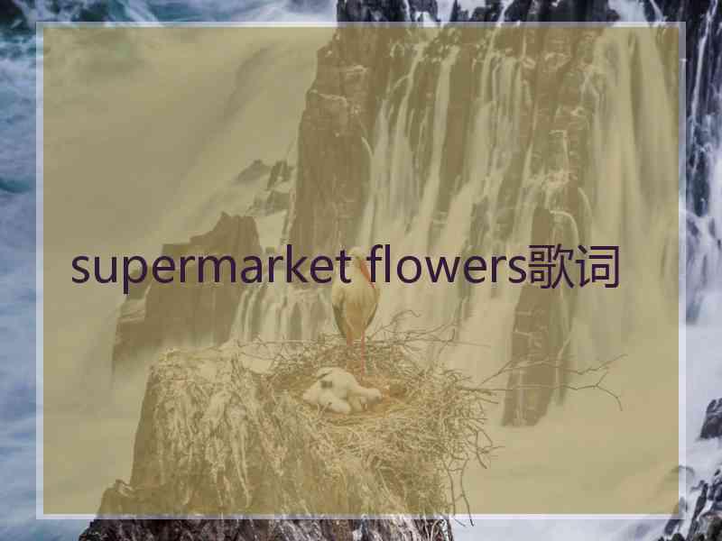 supermarket flowers歌词