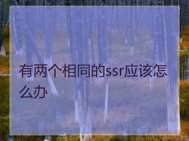 有两个相同的ssr应该怎么办