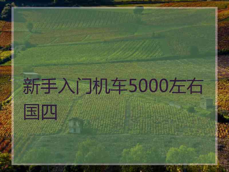 新手入门机车5000左右国四