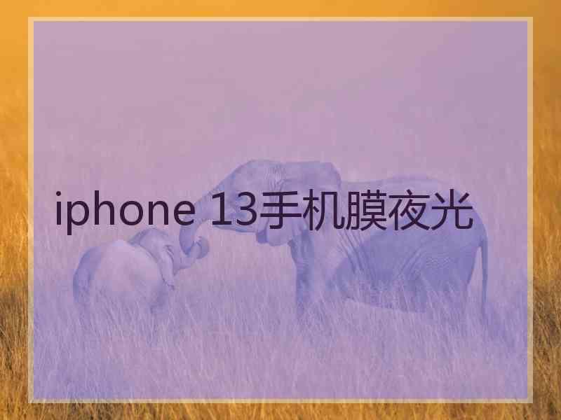 iphone 13手机膜夜光