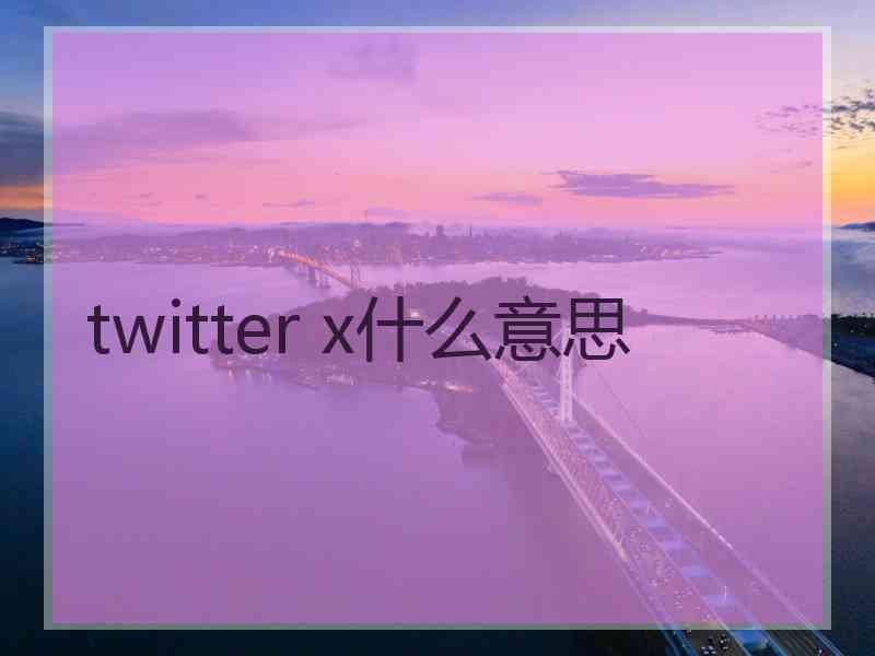 twitter x什么意思