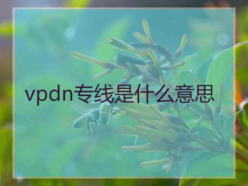 vpdn专线是什么意思