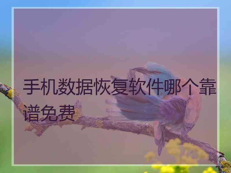 手机数据恢复软件哪个靠谱免费