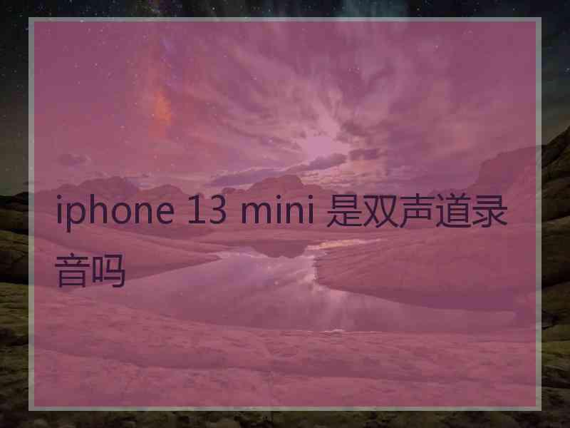 iphone 13 mini 是双声道录音吗