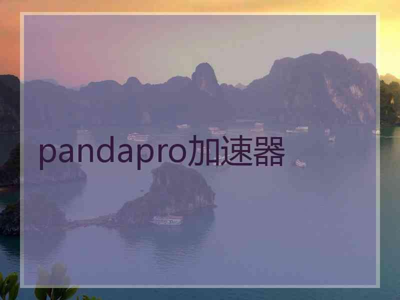 pandapro加速器