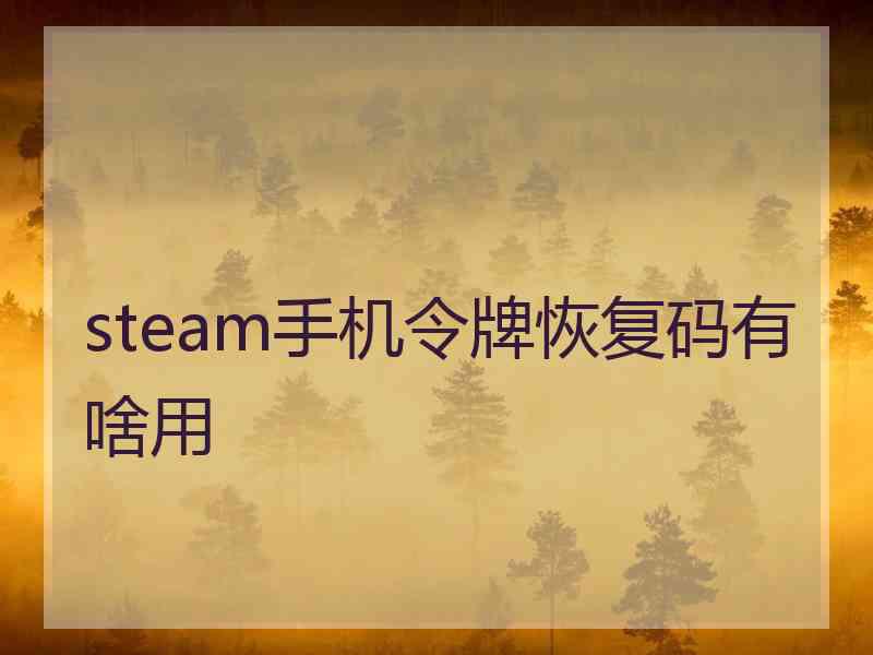 steam手机令牌恢复码有啥用