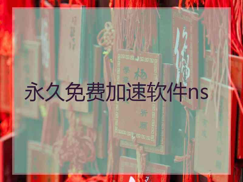 永久免费加速软件ns