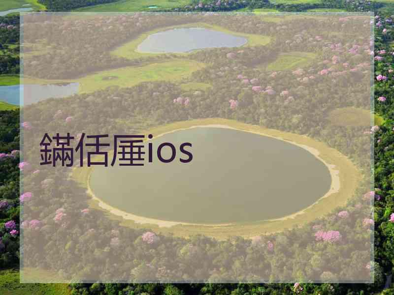 鏋佸厜ios