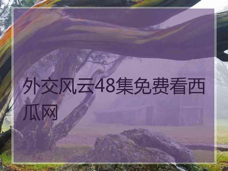 外交风云48集免费看西瓜网