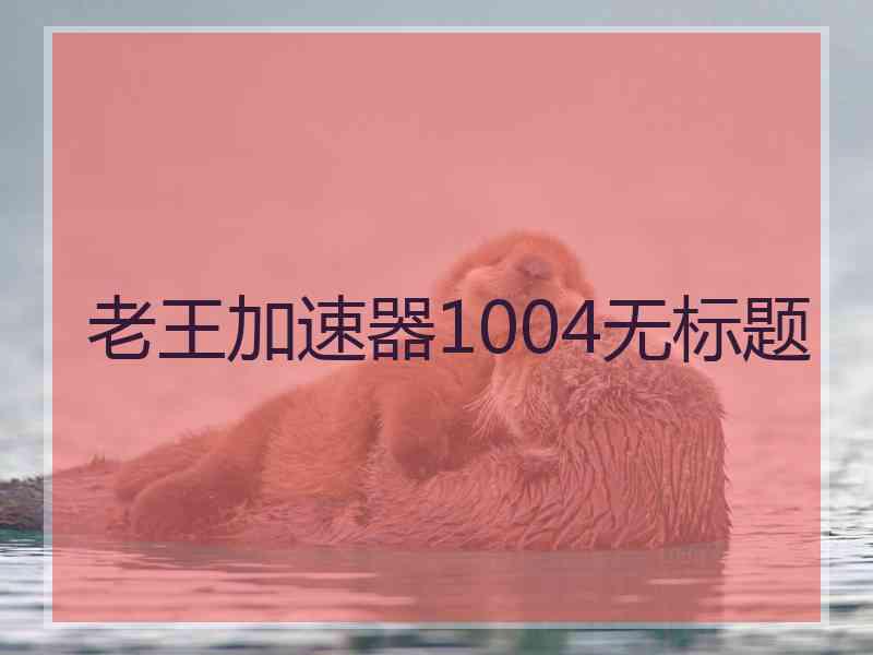 老王加速器1004无标题