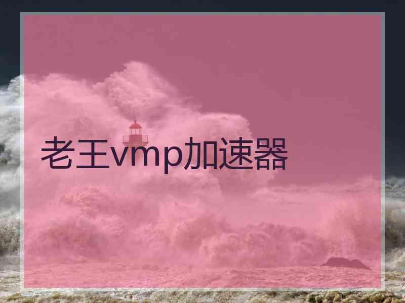 老王vmp加速器