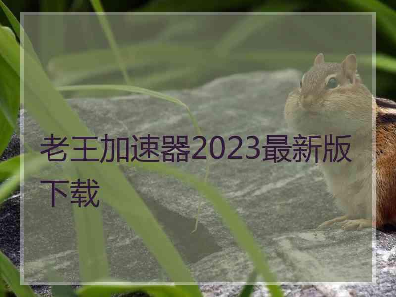 老王加速器2023最新版下载