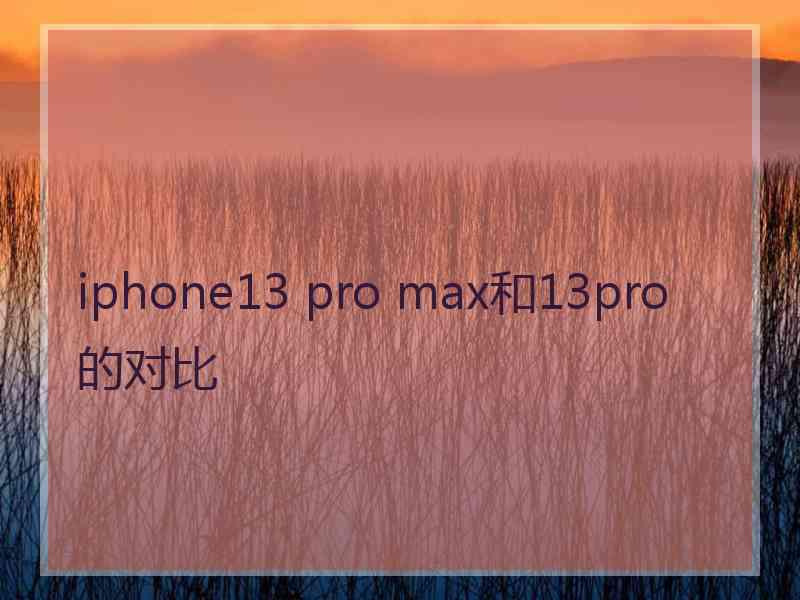 iphone13 pro max和13pro的对比