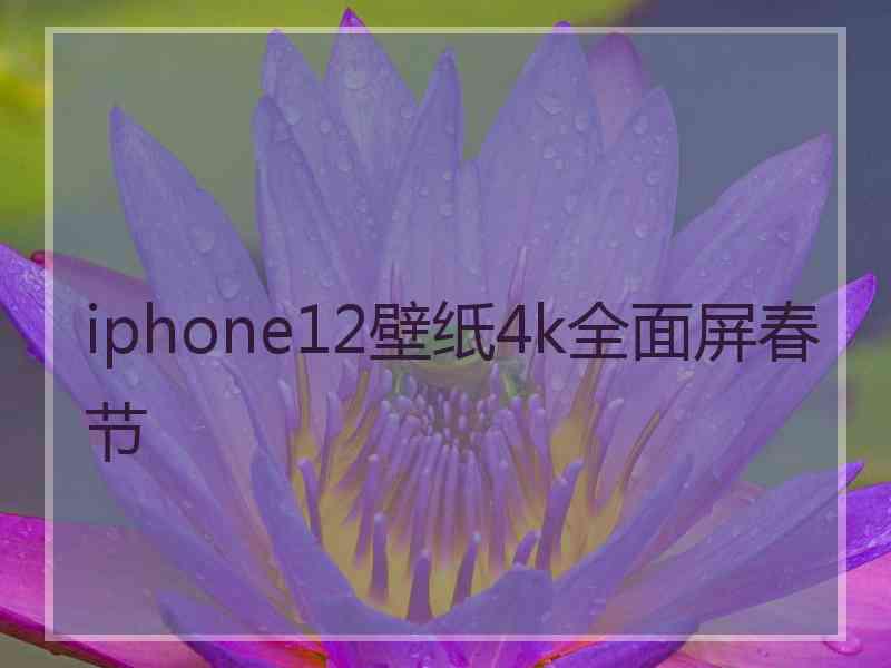 iphone12壁纸4k全面屏春节