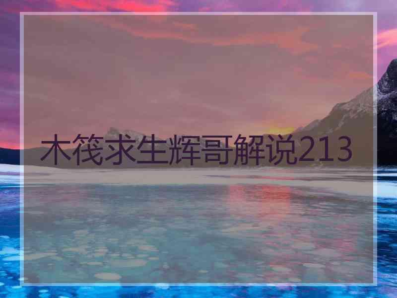 木筏求生辉哥解说213