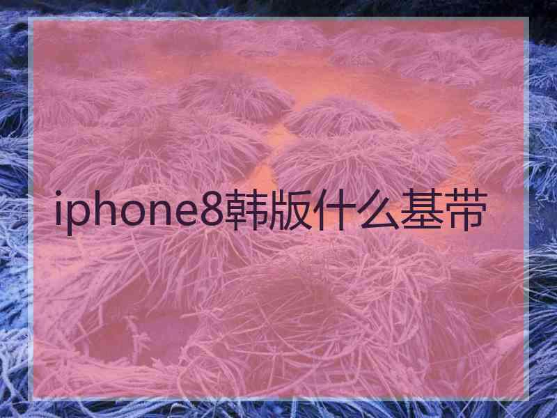 iphone8韩版什么基带