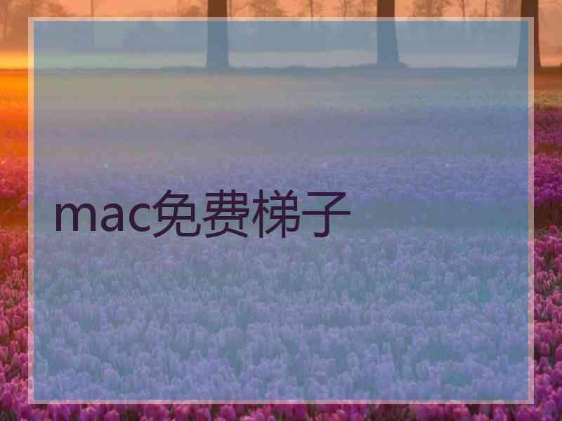 mac免费梯子