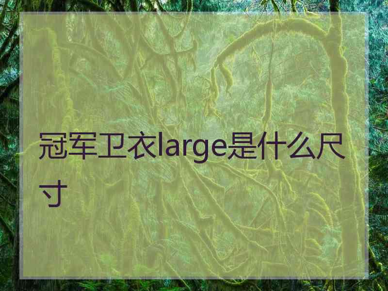 冠军卫衣large是什么尺寸