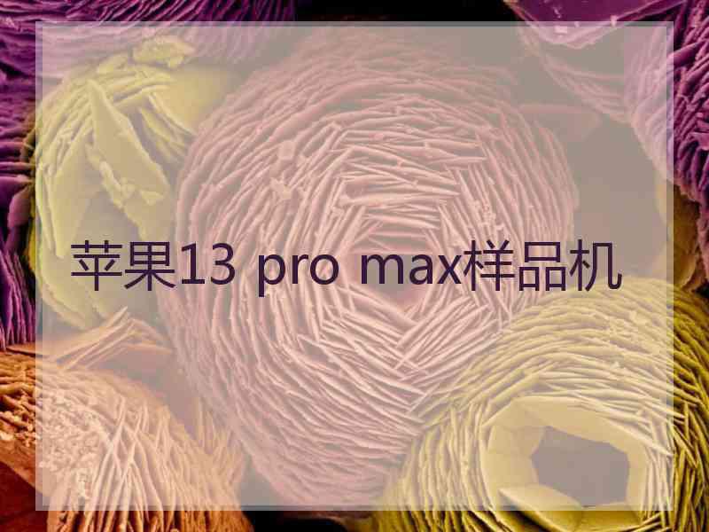 苹果13 pro max样品机