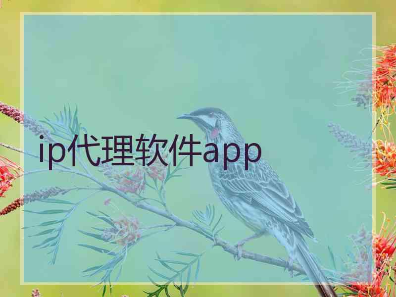 ip代理软件app