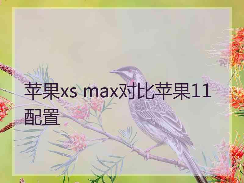 苹果xs max对比苹果11配置