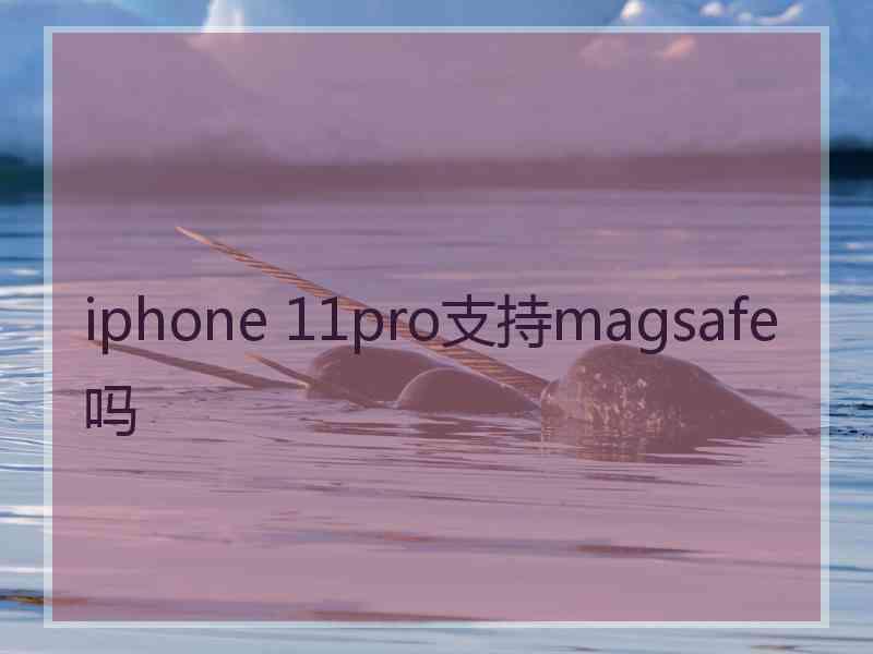 iphone 11pro支持magsafe吗