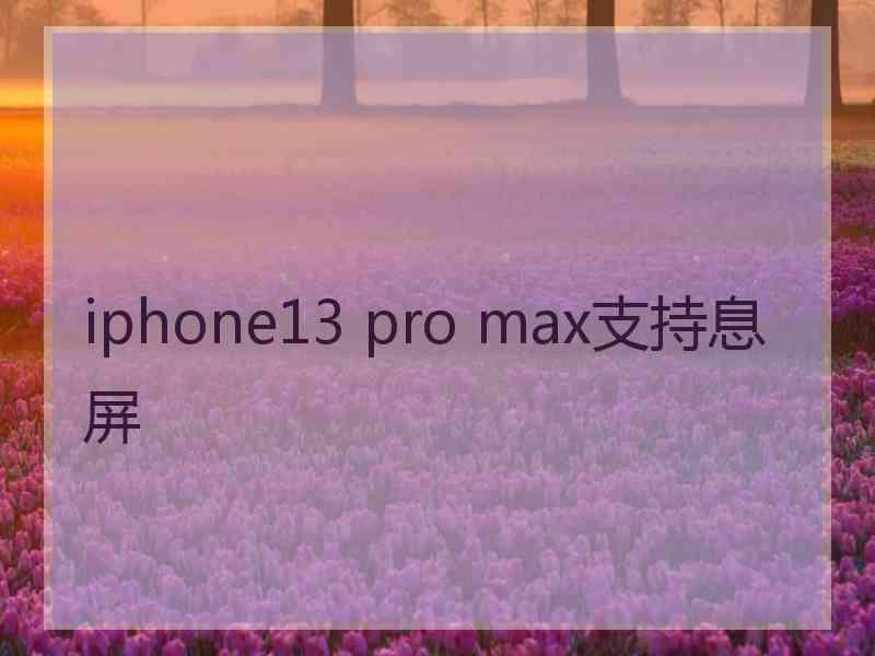 iphone13 pro max支持息屏